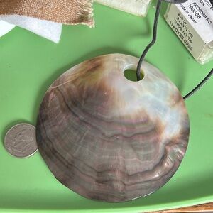 Iridescent Shell Pendant Necklace